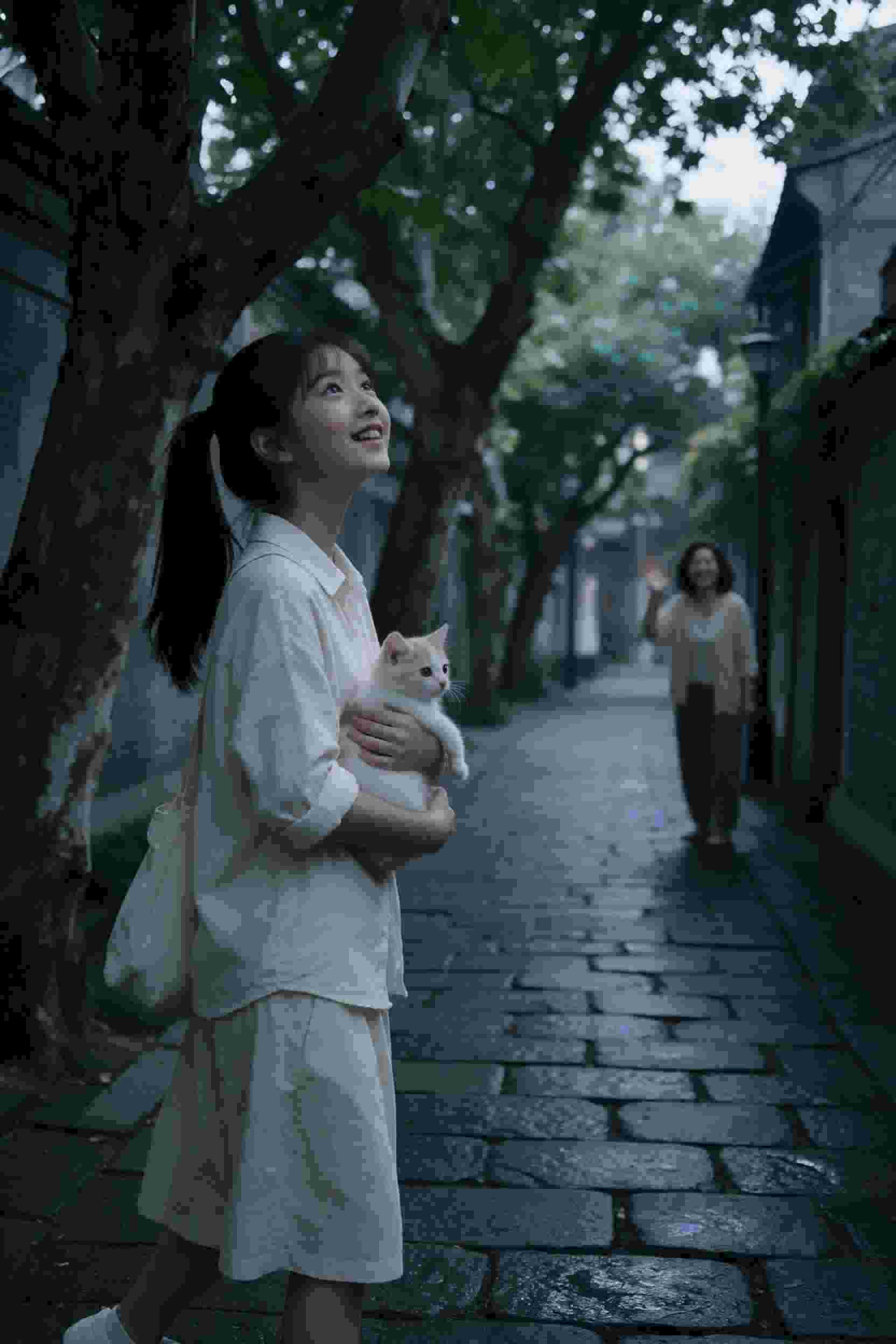 小说